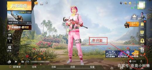 和平精英挂怎么开麦