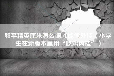 和平精英内挂怎么开