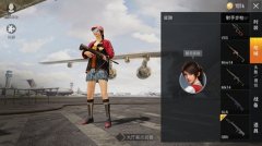 和平精英怎么开皮肤挂（和平精英皮肤挂的法律责任）