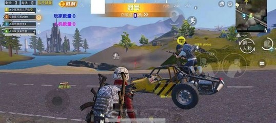 和平精英内部挂怎么开