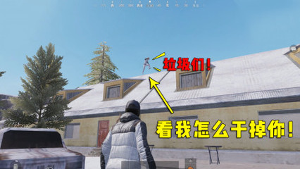 和平精英挂我怎么死的