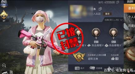 和平精英名片怎么开挂