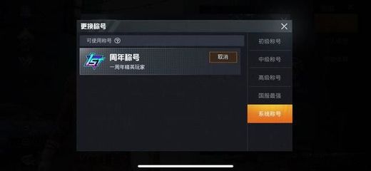 和平精英怎么挂地区称号