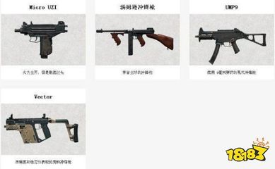 和平精英开挂钢枪怎么开
