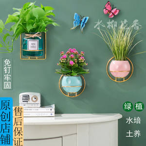 和平精英挂墙花盆怎么用