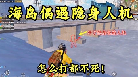 和平精英怎么能开隐身挂