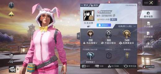 和平精英挂情侣标怎么看