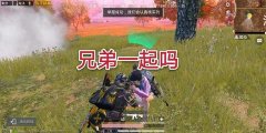 和平精英怎么非法组队挂（和平精英非法组队挂的后果）