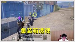 和平精英怎么开挂不被风（和平精英外挂被封后的解封策略）