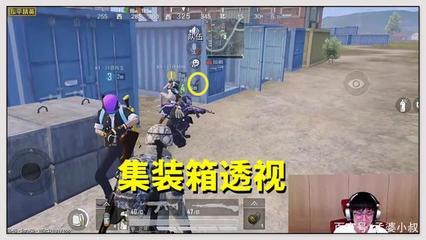 和平精英怎么开挂不被风（和平精英外挂被封后的解封策略）