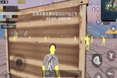 和平精英挂怎么找不到了（和平精英挂件消失的常见原因）