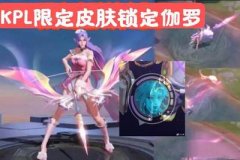 和平精英天狼辅助怎么用（和平精英辅助安全性分析）