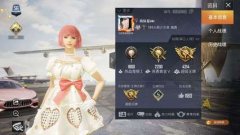 和平精英卡卡辅助怎么样（和平精英卡卡辅助）
