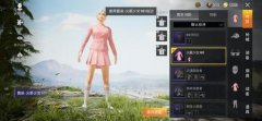 和平精英怎么夸辅助好看（和平精英辅助玩家的影响力）