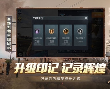 和平精英怎么开辅助系统