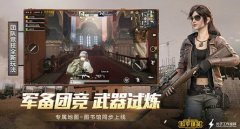 和平精英怎么夸辅助好玩（和平精英辅助工具的市场价位）