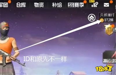 傻子玩和平精英怎么开挂