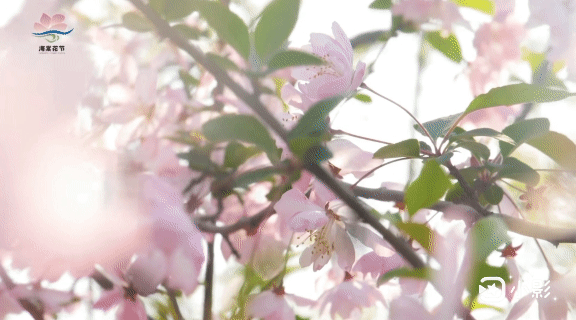 和平精英惊蛰辅助怎么开