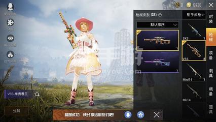 和平精英战狼辅助器怎么用（和平精英战狼辅助器的使用教程）