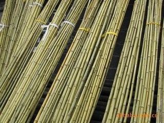 和平精英挂墙花盆怎么攀爬