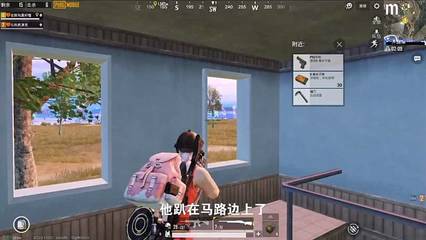 和平精英挂窗怎么操作视频