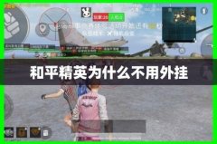 和平精英怎么才能开瞬移挂（和平精英瞬移挂的原理探究）