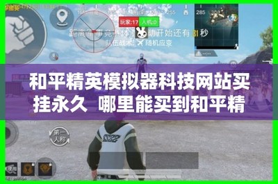 和平精英免费挂怎么开下载