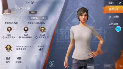 和平精英怎么挂别人的名片