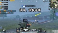和平精英开挂怎么下载游戏（和平精英正版游戏的优势）