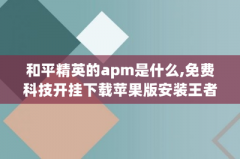 苹果系统和平精英怎么开挂（苹果系统下和平精英外挂检测）