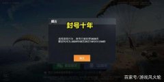 和平精英在线查挂怎么申请（和平精英查挂工具的使用方法）