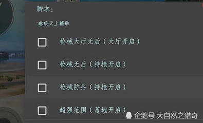和平精英开挂脚本怎么使用
