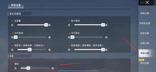 和平精英开挂音声音怎么开