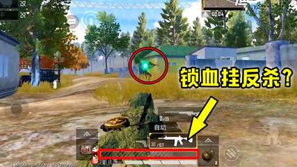 和平精英怎么开启和锁血挂