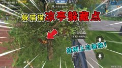 和平精英怎么在海岛上挂树（和平精英挂树技巧分享）