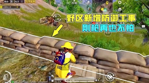 和平精英挂坠怎么放出来的