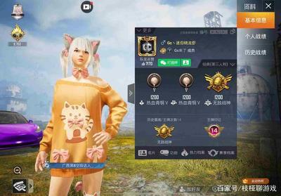 和平精英开挂拉闸了怎么办