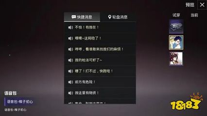 和平精英开挂语言包怎么用（和平精英语言包检测方法）