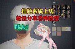 和平精英挂脸怎么搞出来的（和平精英挂脸问题的常见原因）
