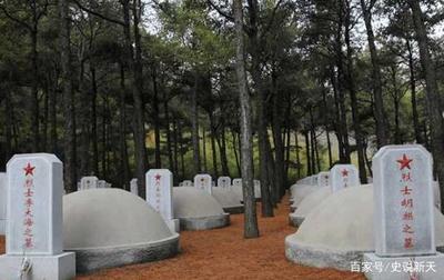 和平精英守墓人辅助怎么用（和平精英守墓人辅助的用户评价）