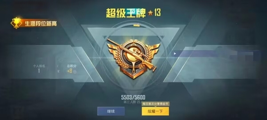 和平精英先锋辅助功能怎么开
