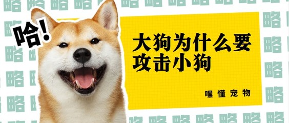 和平精英大狗辅助卡怎么获得