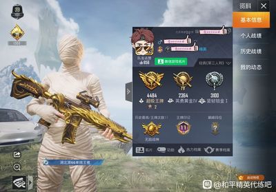 和平精英开挂双系统怎么操作