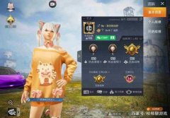 和平精英开挂被拉闸怎么解决（如何验证和平精英开挂证据）