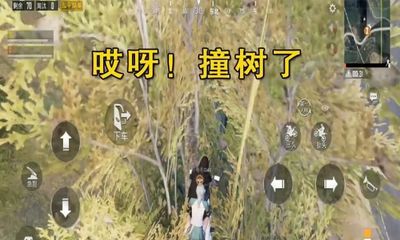 和平精英开挂老断网怎么回事