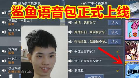 和平精英开挂的语音包怎么用