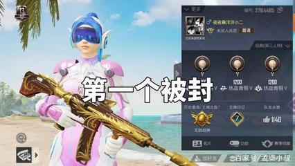 和平精英开挂封号标志怎么弄