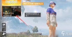 和平精英开挂无敌飞行怎么开（和平精英账号安全防护）