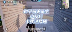 和平精英家园矮墙怎么挂瀑布（和平精英家园矮墙挂瀑布教程视频）