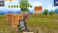 和平精英大哥没开挂会怎么样（和平精英大哥没开挂的社区效应）
